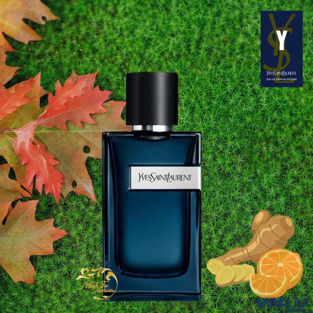 YSL Y EDP Intense